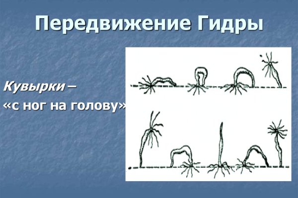 Кракен сайт вход официальный зеркало