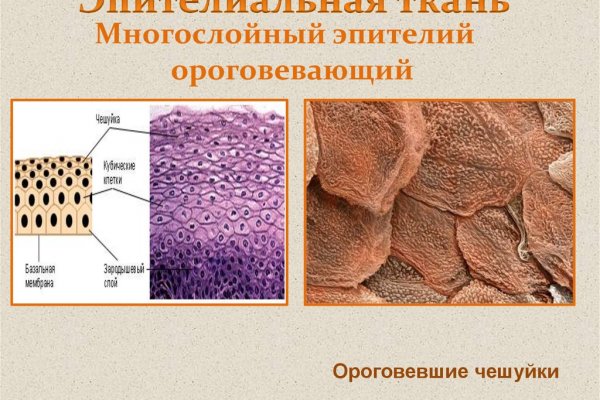 Кракен как войти