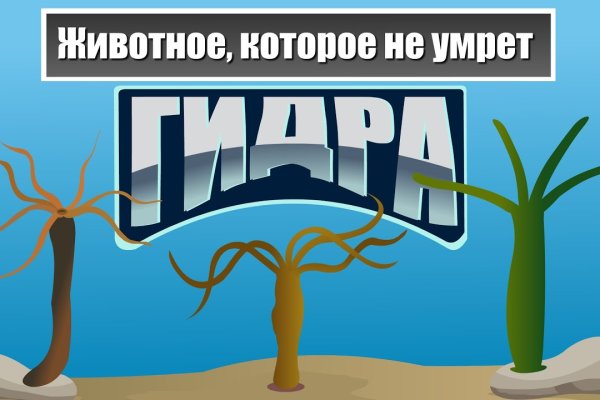 Наркотики заказать